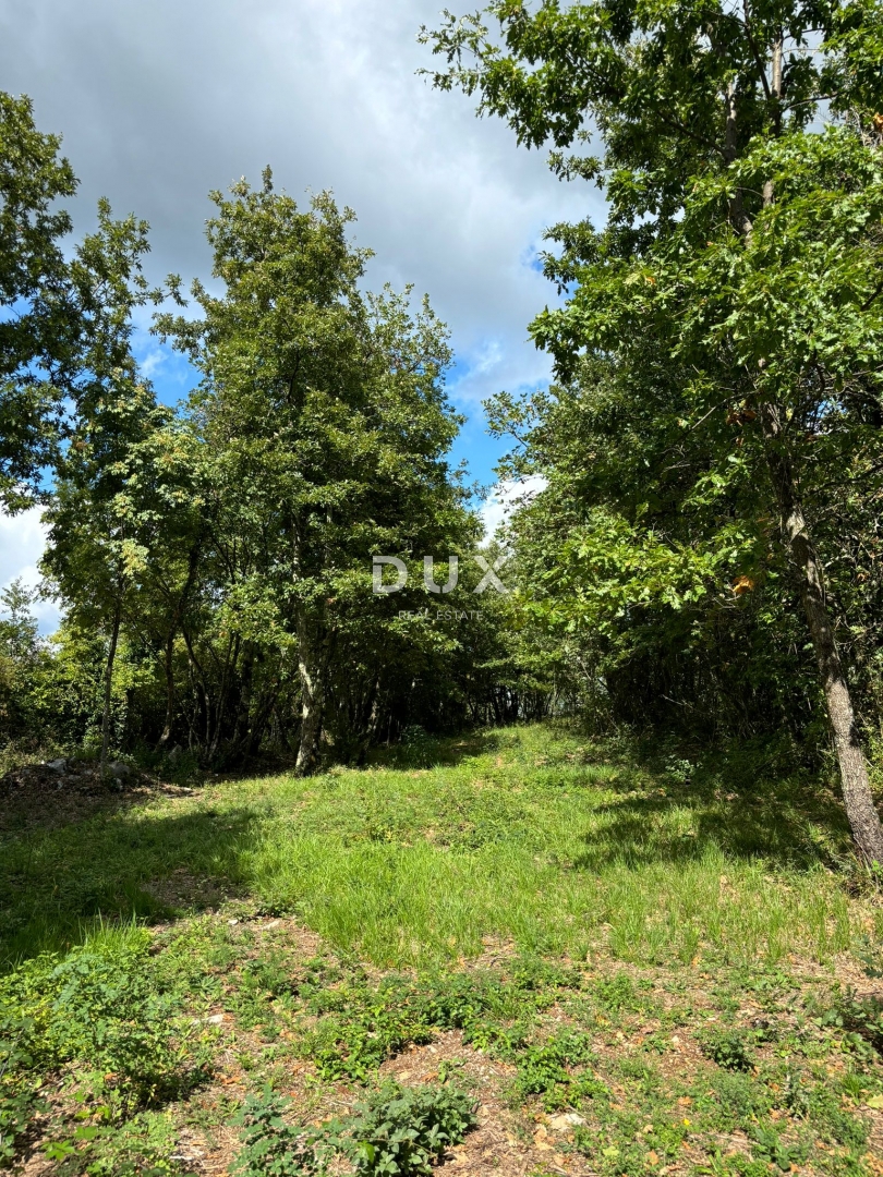 ISTRIA, GRAČIŠĆE (dintorni) - Terreno edificabile con vista sulla natura!
