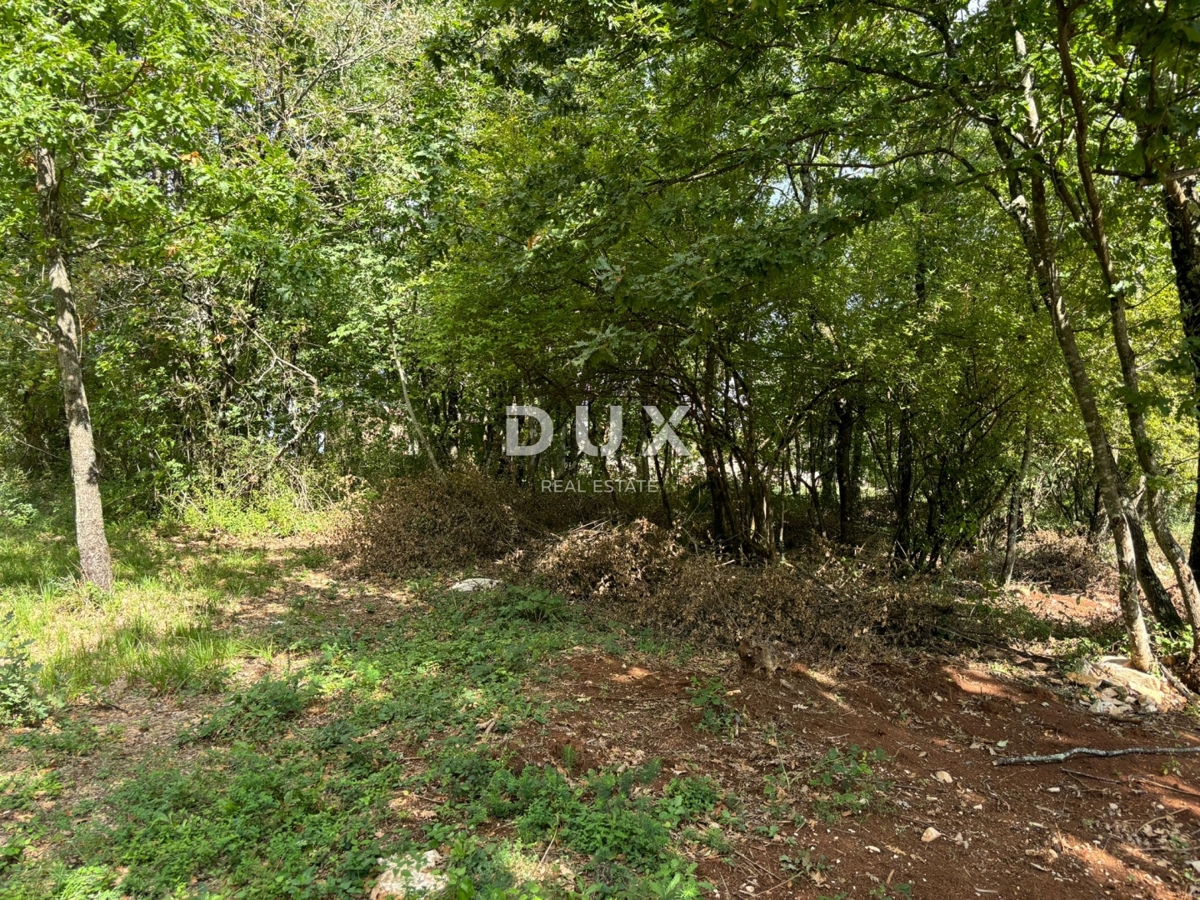 ISTRIA, GRAČIŠĆE (dintorni) - Terreno edificabile con vista sulla natura!