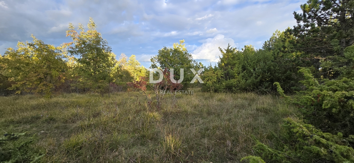 Terreno Gračišće, 13.280m2