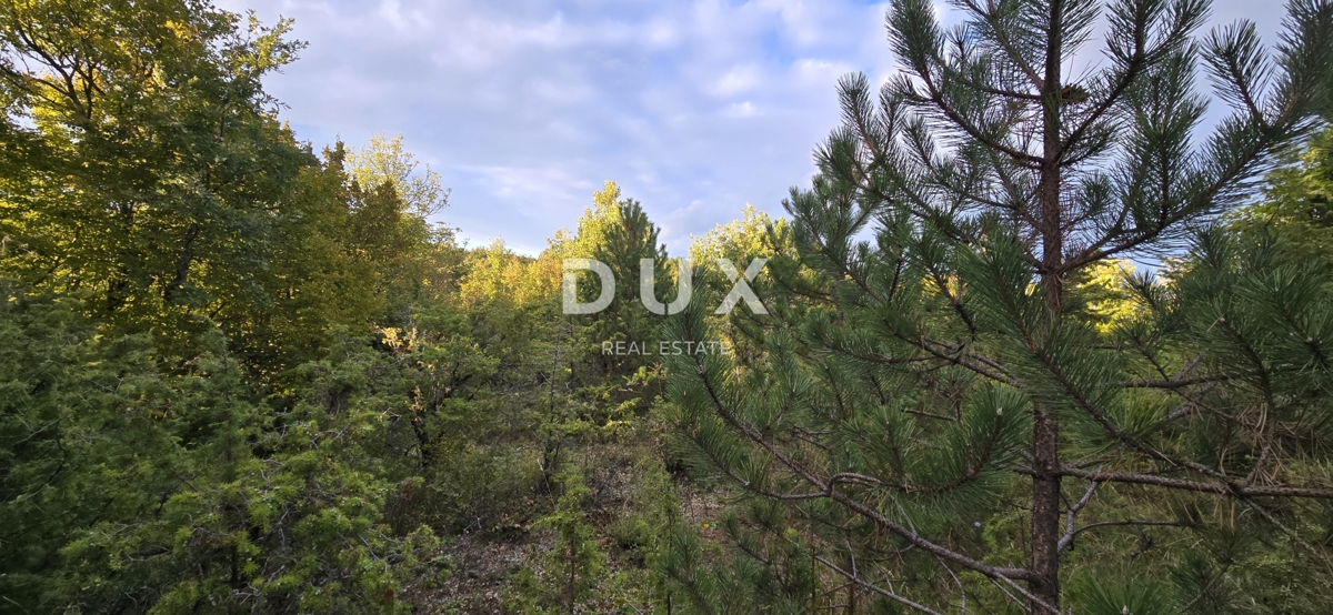 Terreno Gračišće, 13.280m2