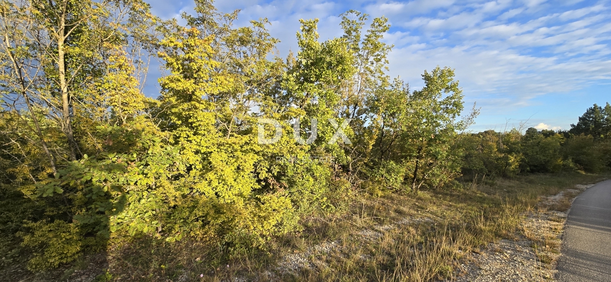 Terreno Gračišće, 13.280m2