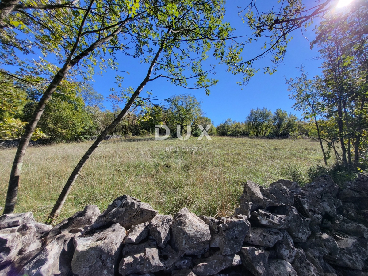 Casa Boljunsko Polje, Lupoglav, 166m2