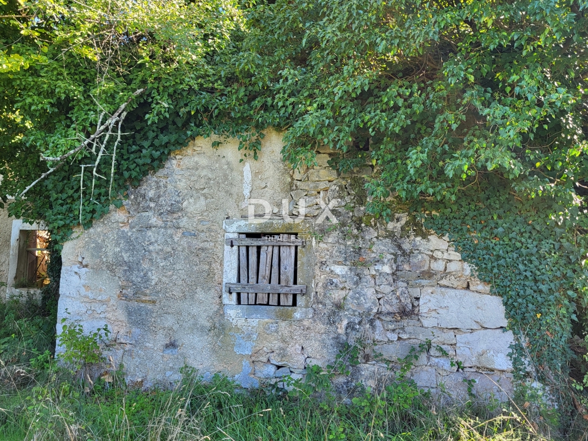 Casa Boljunsko Polje, Lupoglav, 166m2