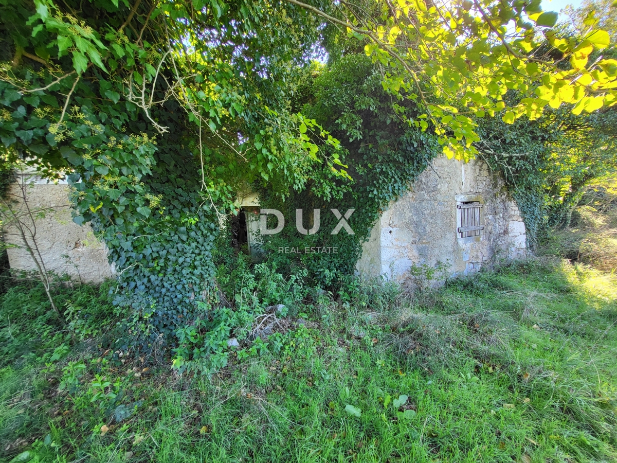 Casa Boljunsko Polje, Lupoglav, 166m2