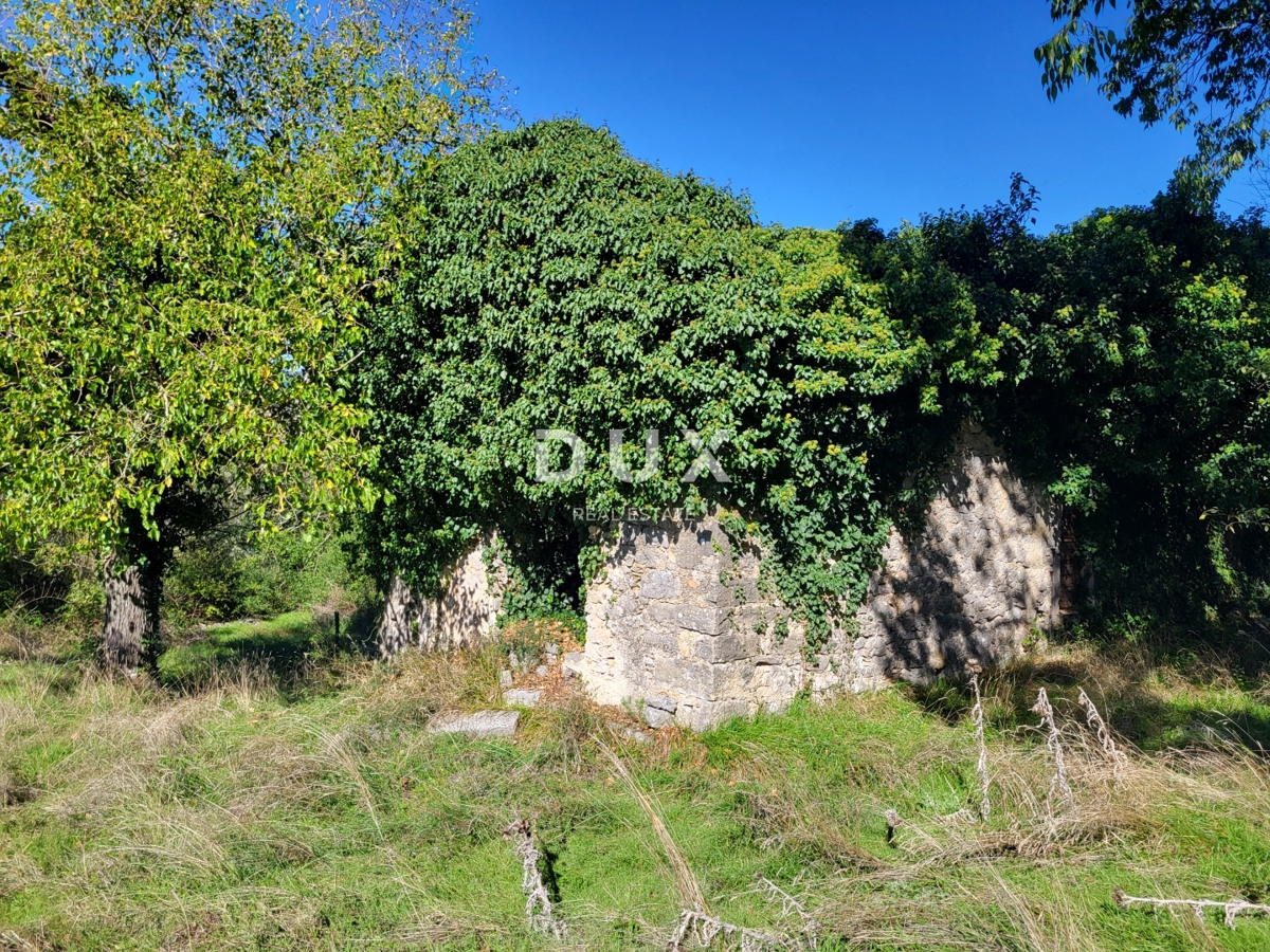 Casa Boljunsko Polje, Lupoglav, 166m2