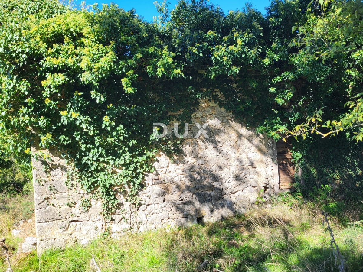 Casa Boljunsko Polje, Lupoglav, 166m2