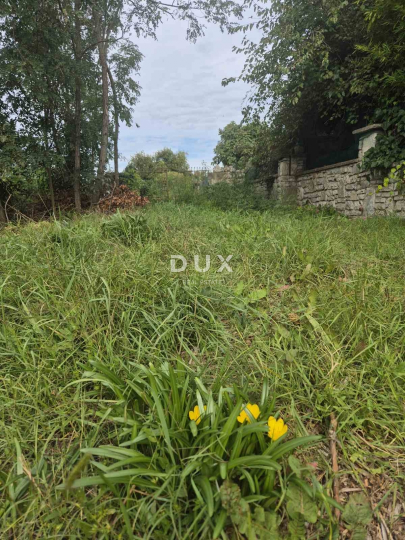 ISTRIA, VALLE – tre case in pietra su un terreno edificabile di 7.800 m²