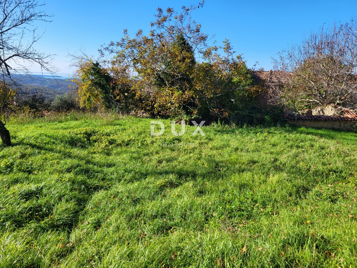 ISTRIA, GROŽNJAN - Terreno edificabile con vista aperta sul mare e sui dintorni