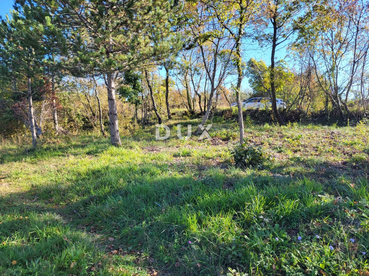 ISTRIA, GROŽNJAN - Terreno edificabile con vista aperta sul mare e sui dintorni