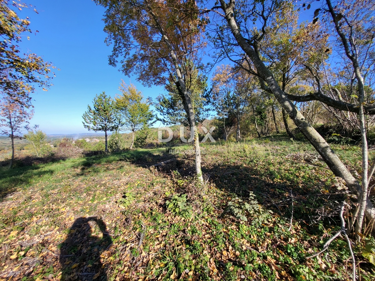 ISTRIA, GROŽNJAN - Terreno edificabile con vista aperta sul mare e sui dintorni