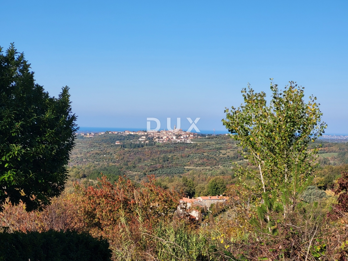 ISTRIA, GROŽNJAN - Terreno edificabile con vista aperta sul mare e sui dintorni