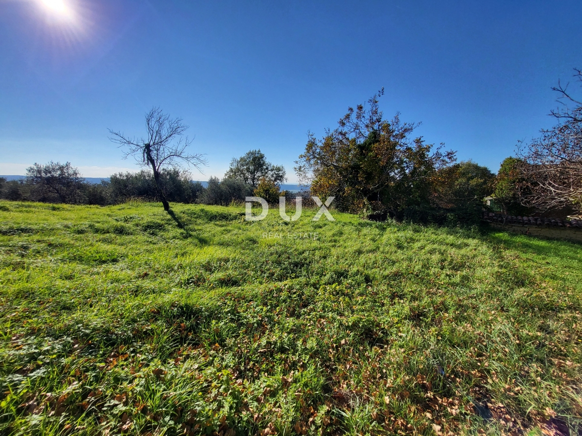 ISTRIA, GROŽNJAN - Terreno edificabile con vista aperta sul mare e sui dintorni