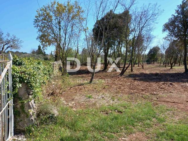 ISTRIA, RAKALJ - Verde agricolo in posizione privilegiata