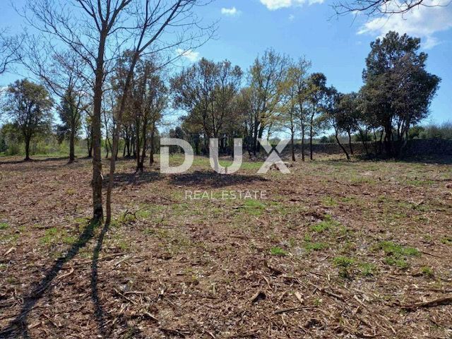 ISTRIA, RAKALJ - Verde agricolo in posizione privilegiata