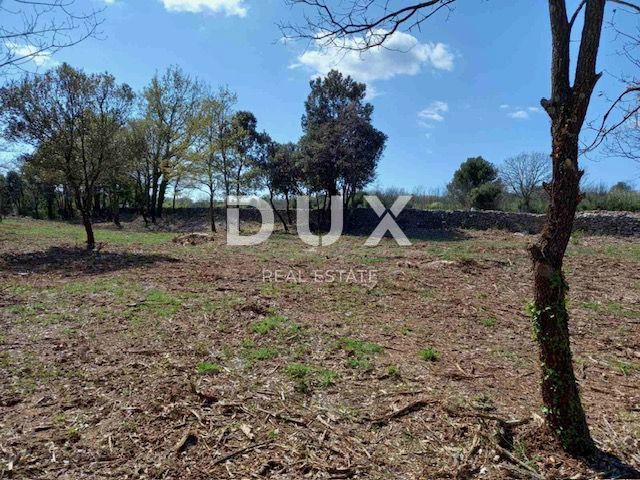 ISTRIA, RAKALJ - Verde agricolo in posizione privilegiata