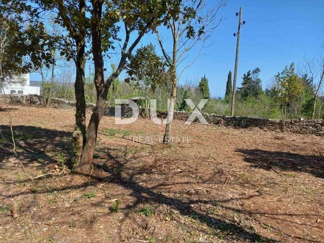 ISTRIA, RAKALJ - Verde agricolo in posizione privilegiata