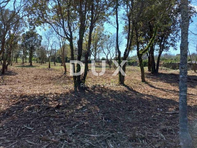 ISTRIA, RAKALJ - Verde agricolo in posizione privilegiata