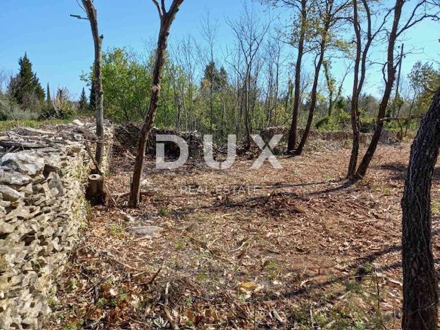 ISTRIA, RAKALJ - Verde agricolo in posizione privilegiata