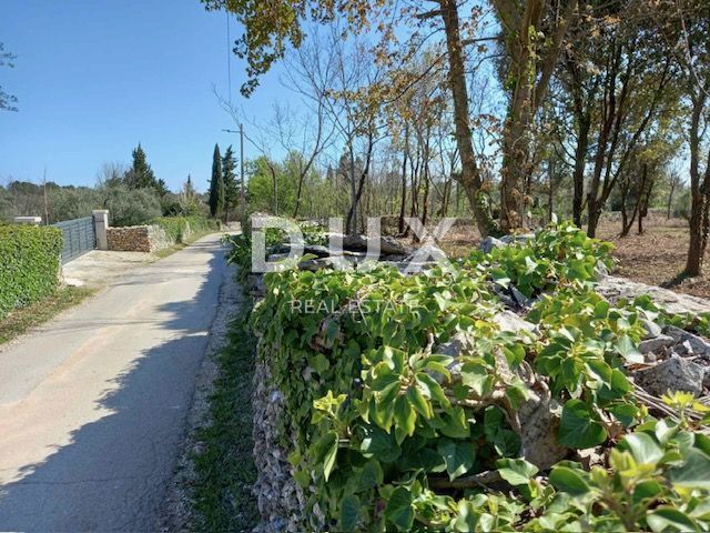 ISTRIA, RAKALJ - Verde agricolo in posizione privilegiata