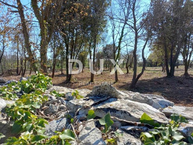 ISTRIA, RAKALJ - Verde agricolo in posizione privilegiata