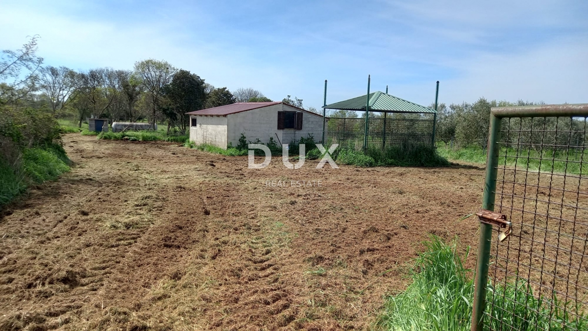 ISTRIA, POLA - Terreno agricolo con fabbricato agricolo!