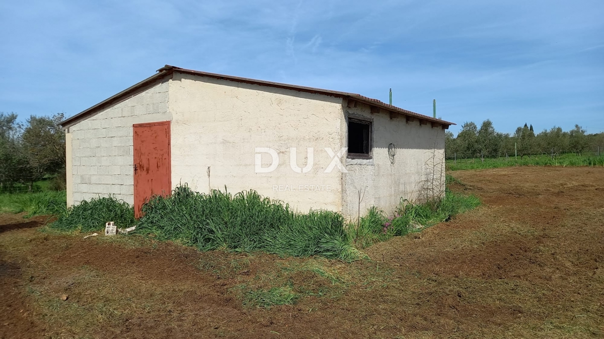 ISTRIA, POLA - Terreno agricolo con fabbricato agricolo!