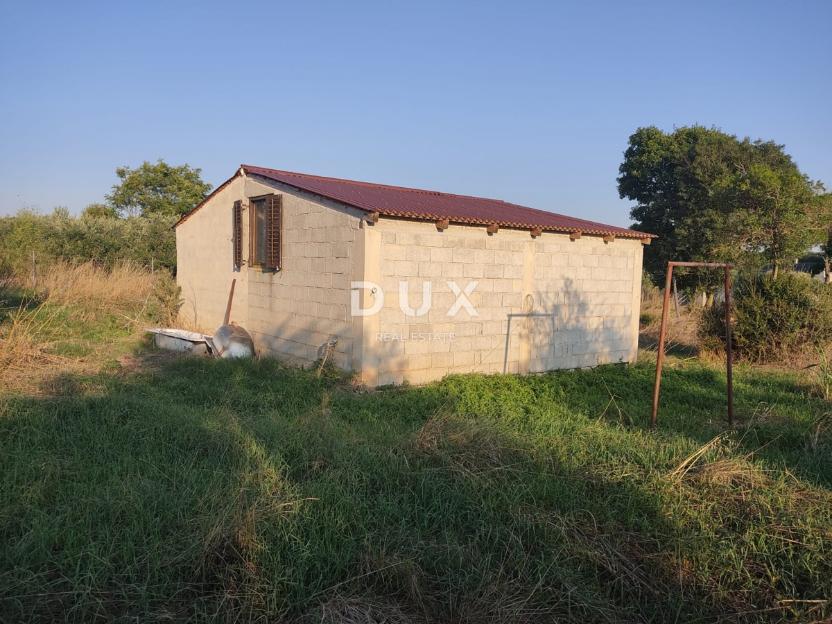 ISTRIA, POLA - Terreno agricolo con fabbricato agricolo!