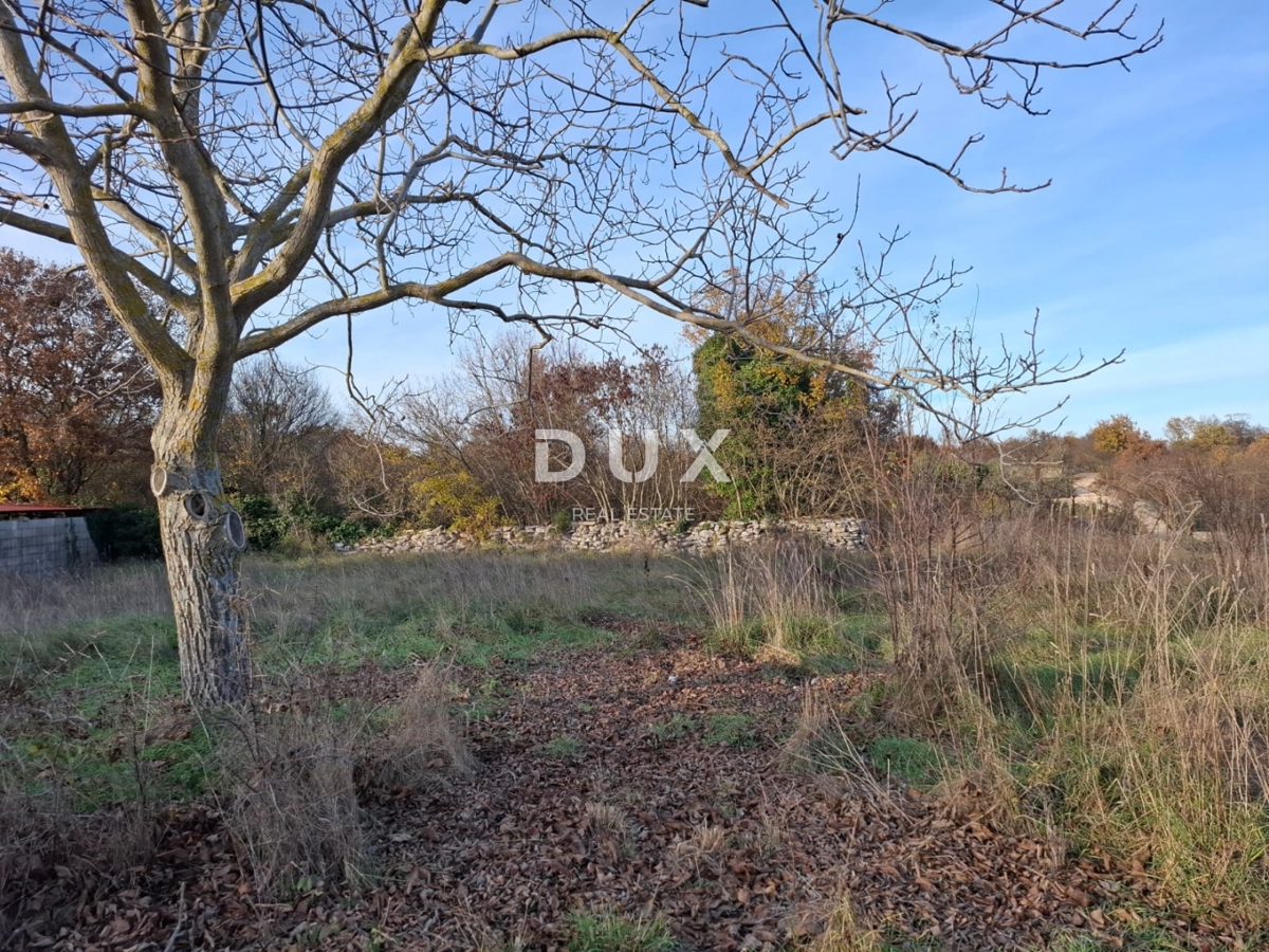 ISTRIA, BALE - Terreno edificabile nella zona