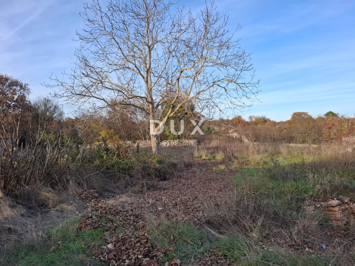 ISTRIA, BALE - Terreno edificabile nella zona