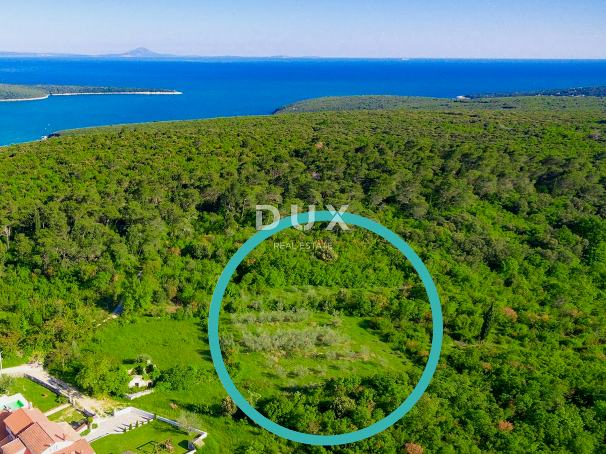 ISTRIA, MARČANA - Ampio terreno ai margini del villaggio