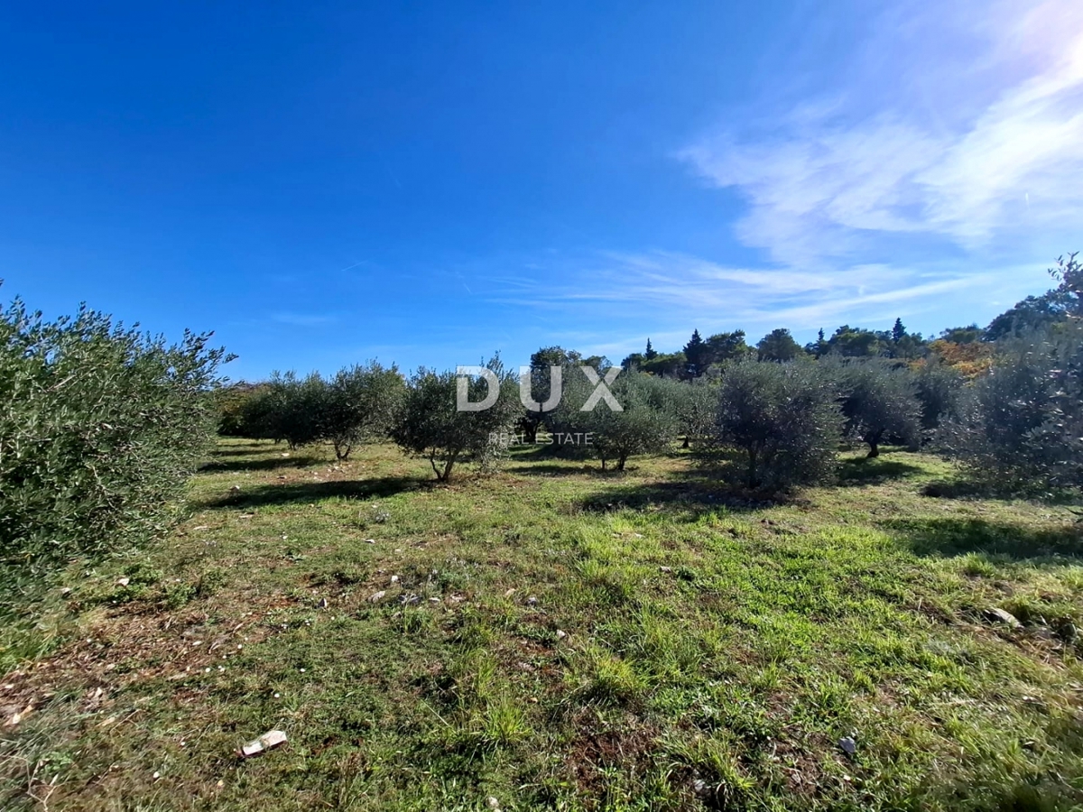 ISTRIA, MARČANA - Ampio terreno ai margini del villaggio