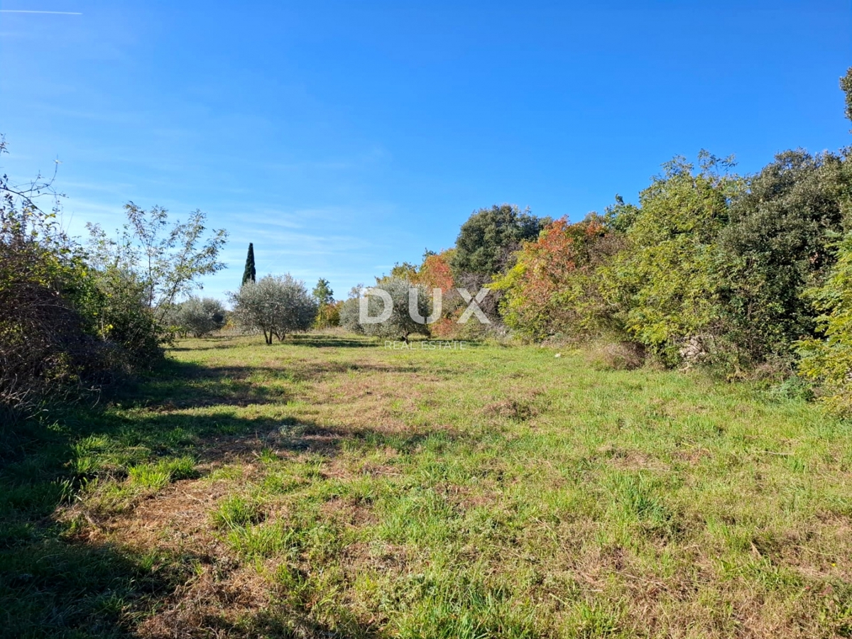 ISTRIA, MARČANA - Ampio terreno ai margini del villaggio