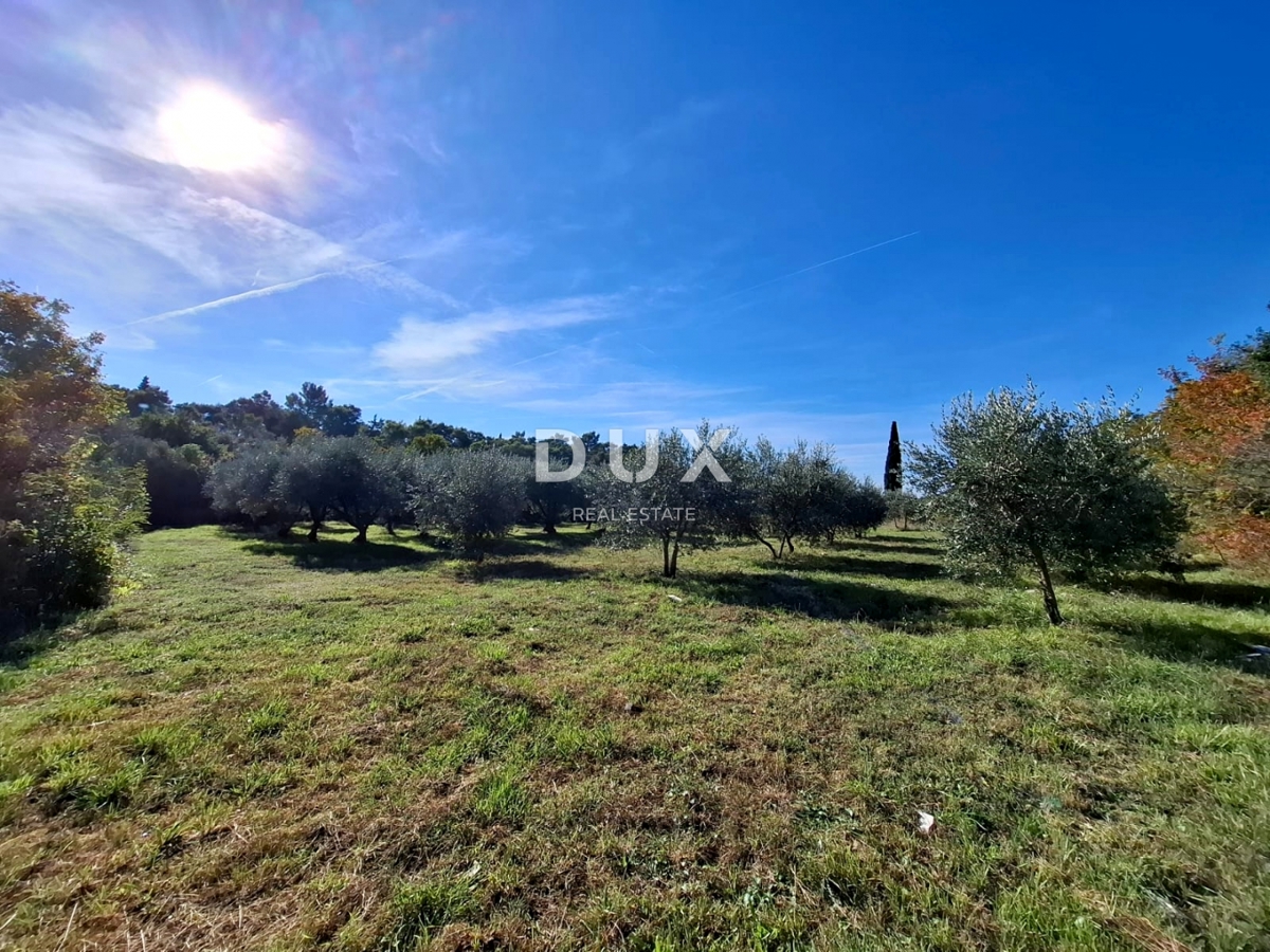 ISTRIA, MARČANA - Ampio terreno ai margini del villaggio