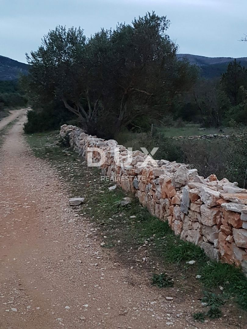 HVAR, CITTÀ VECCHIA - terreno di 5.729 m2 in ottima posizione! OCCASIONE!