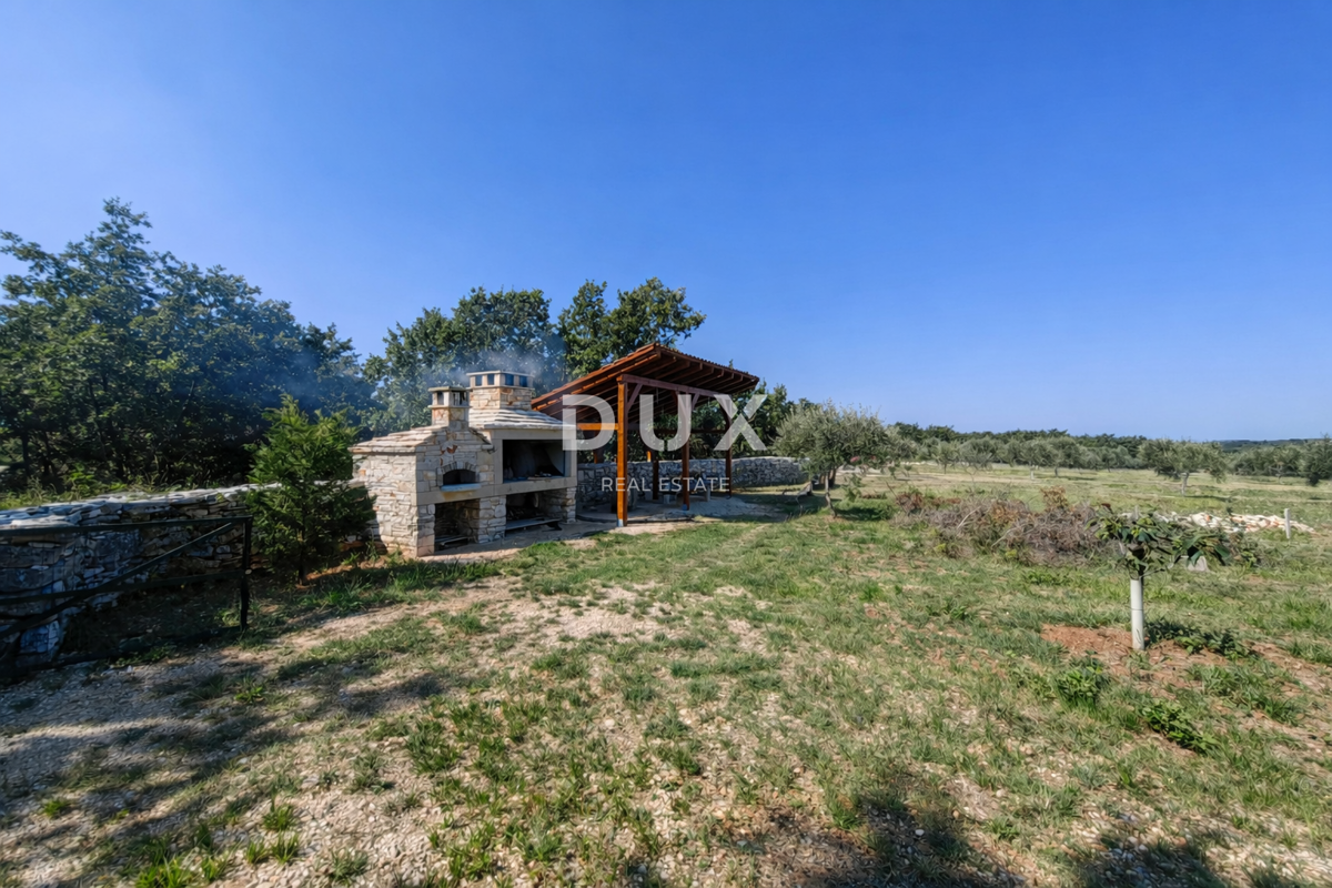 ISTRIA, VODNJAN - Un uliveto autentico con un'anima