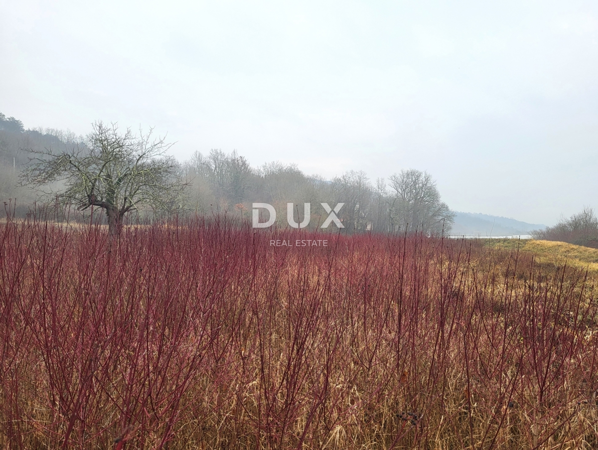 ISTRIA, PEDANA - Ampio terreno edificabile in un tranquillo villaggio