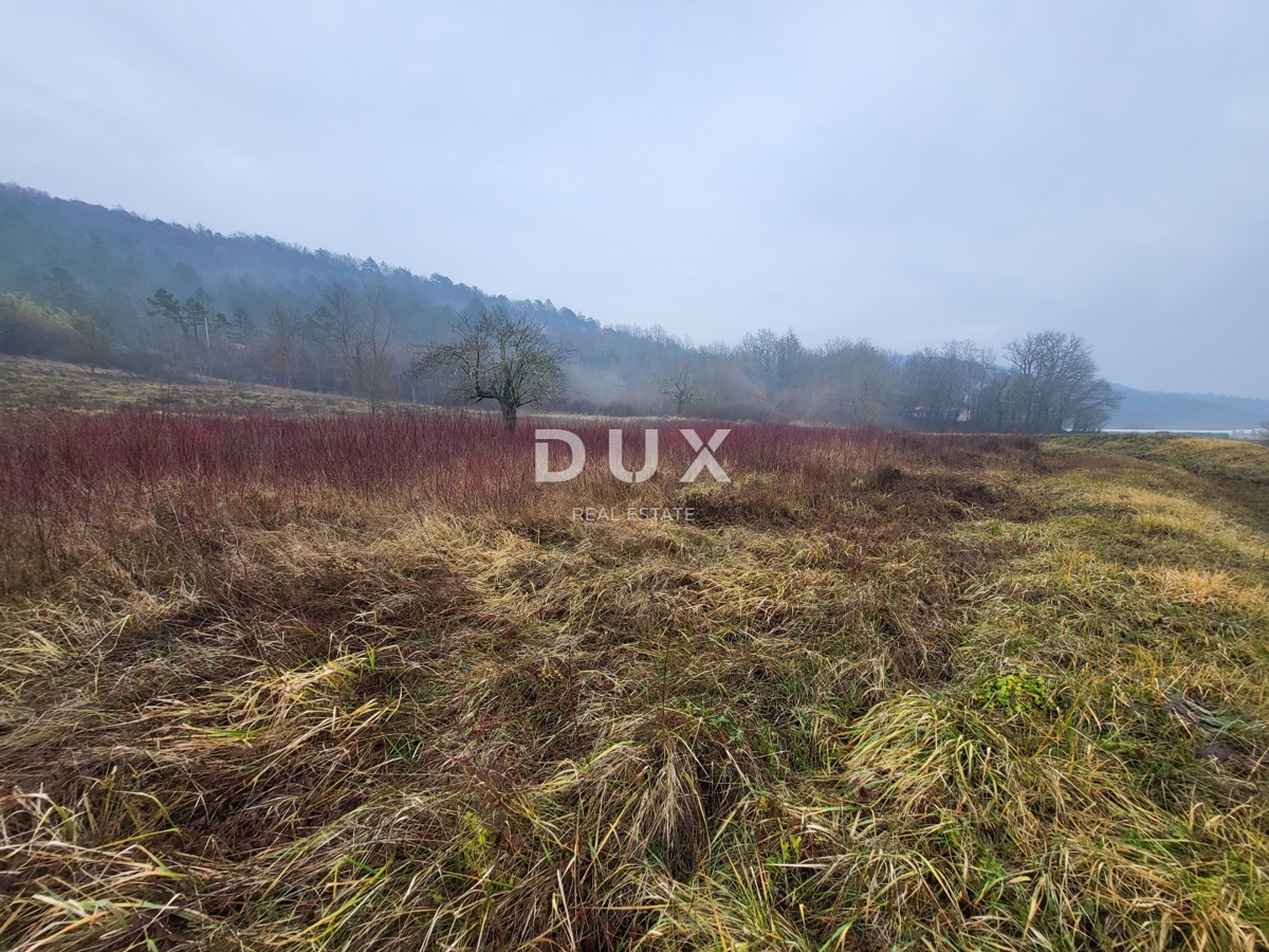ISTRIA, PEDANA - Ampio terreno edificabile in un tranquillo villaggio