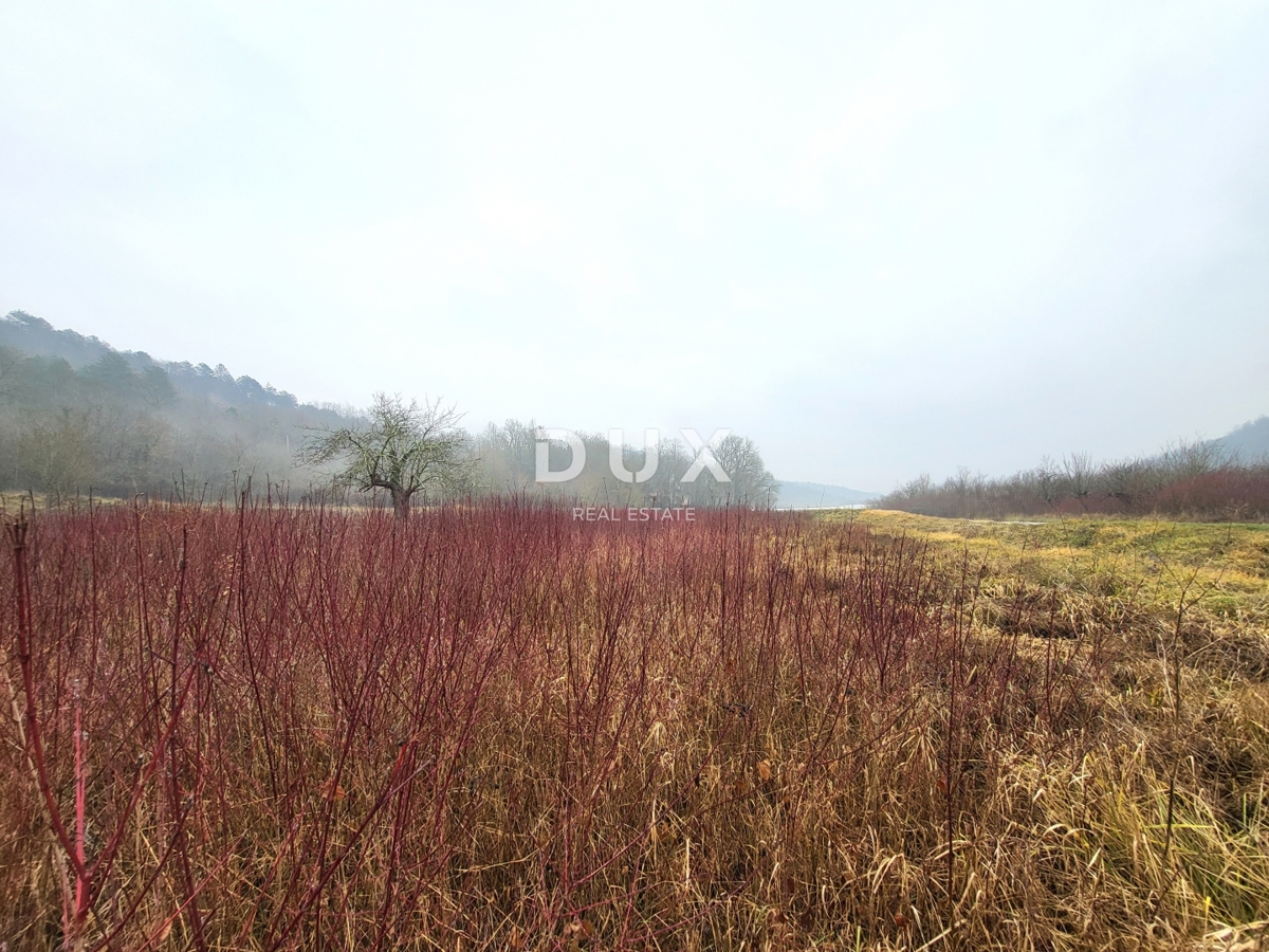 ISTRIA, PEDANA - Ampio terreno edificabile in un tranquillo villaggio