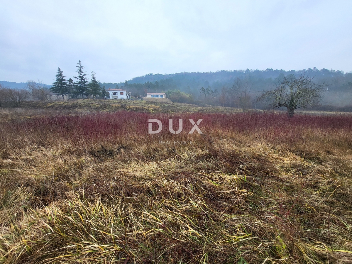 ISTRIA, PEDANA - Ampio terreno edificabile in un tranquillo villaggio