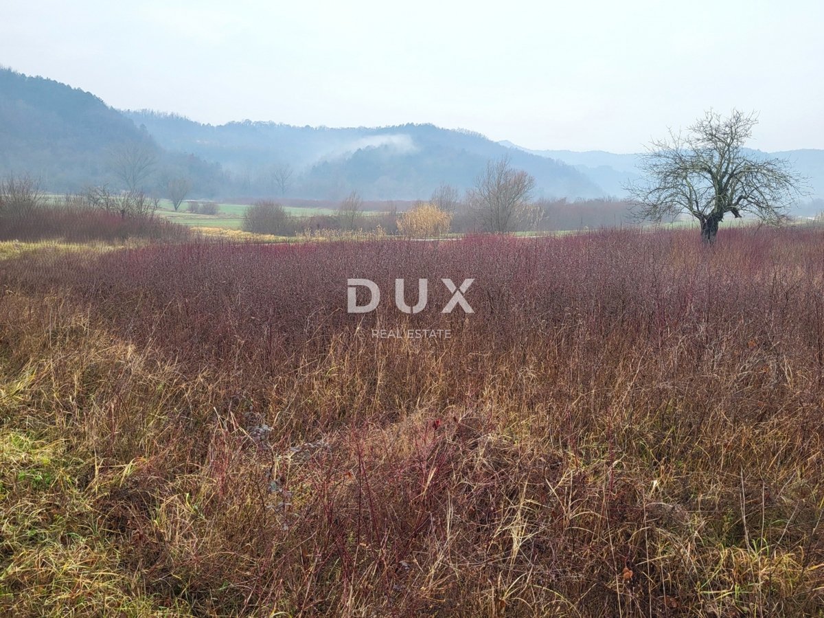 ISTRIA, PEDANA - Ampio terreno edificabile in un tranquillo villaggio