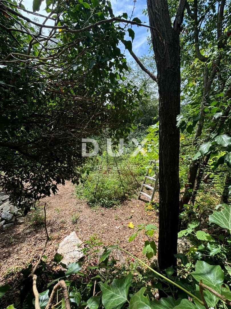 ISTRIA, KANFANAR - Bella casa istriana + 490 m2 di terreno edificabile!