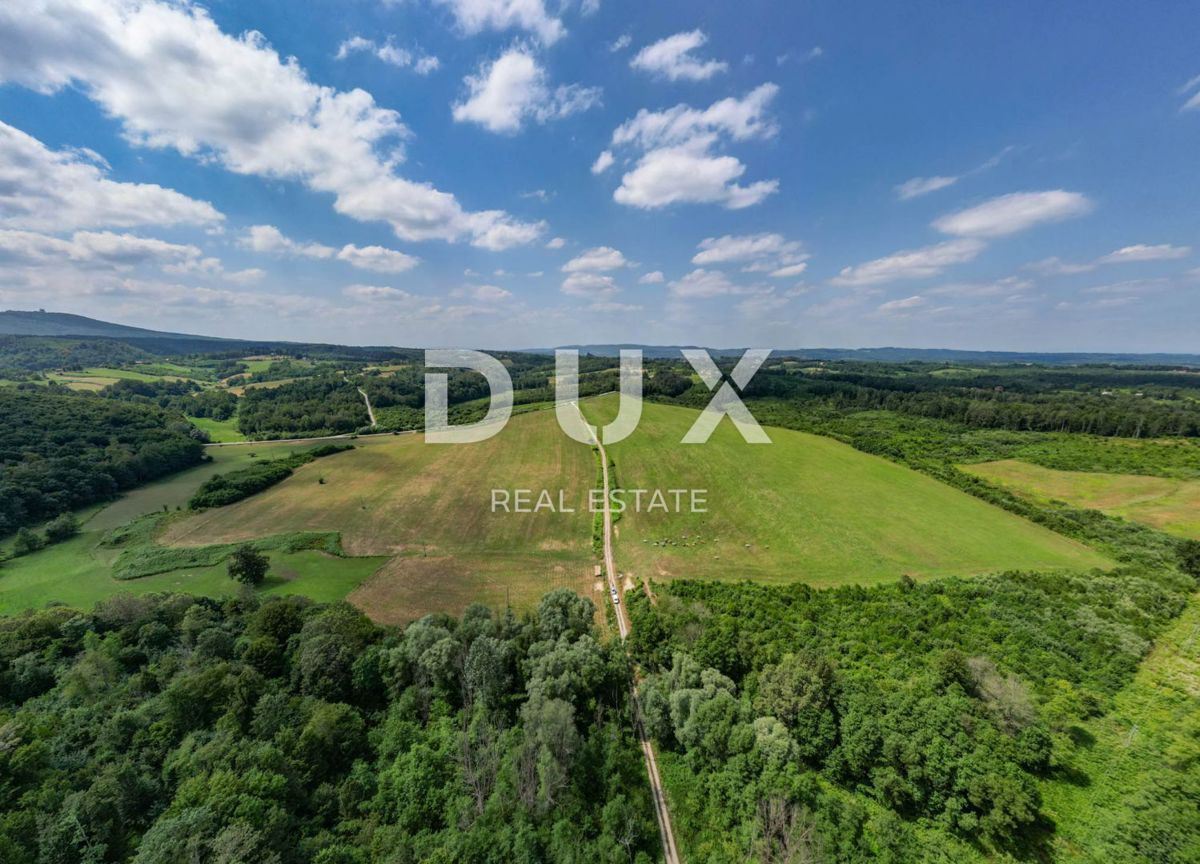 VRGINMOST, BLATUŠA - Grande tenuta, fattoria con macchinari e animali, 40 ettari di terreno!