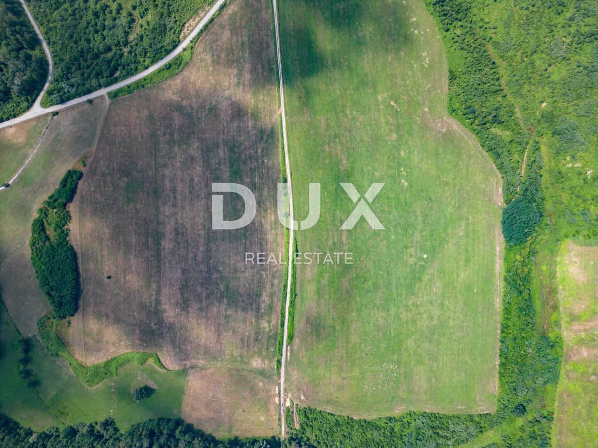 VRGINMOST, BLATUŠA - Grande tenuta, fattoria con macchinari e animali, 40 ettari di terreno!