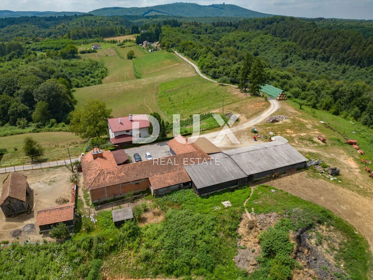 VRGINMOST, BLATUŠA - Grande tenuta, fattoria con macchinari e animali, 40 ettari di terreno!
