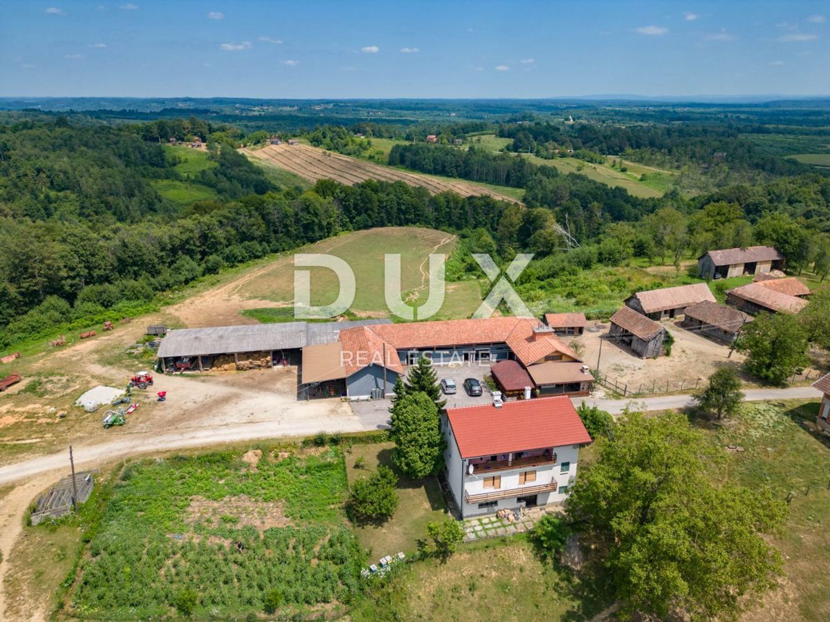 VRGINMOST, BLATUŠA - Grande tenuta, fattoria con macchinari e animali, 40 ettari di terreno!