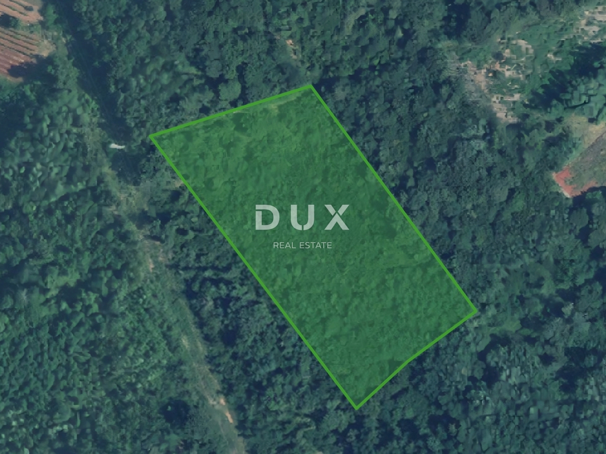 ISTRIA, ALBONA - Grande area boschiva