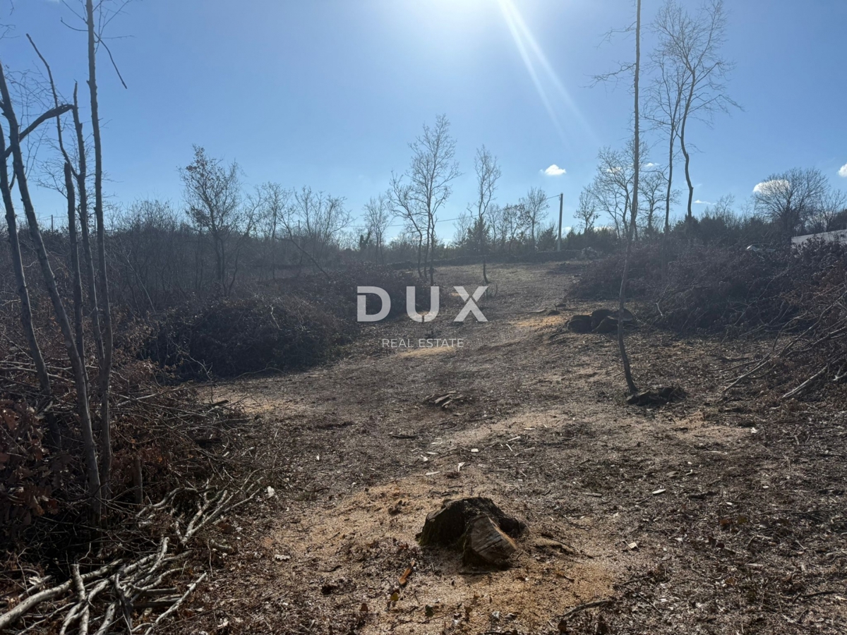 ISTRIA, BARBAN - Ampio terreno immerso nella natura