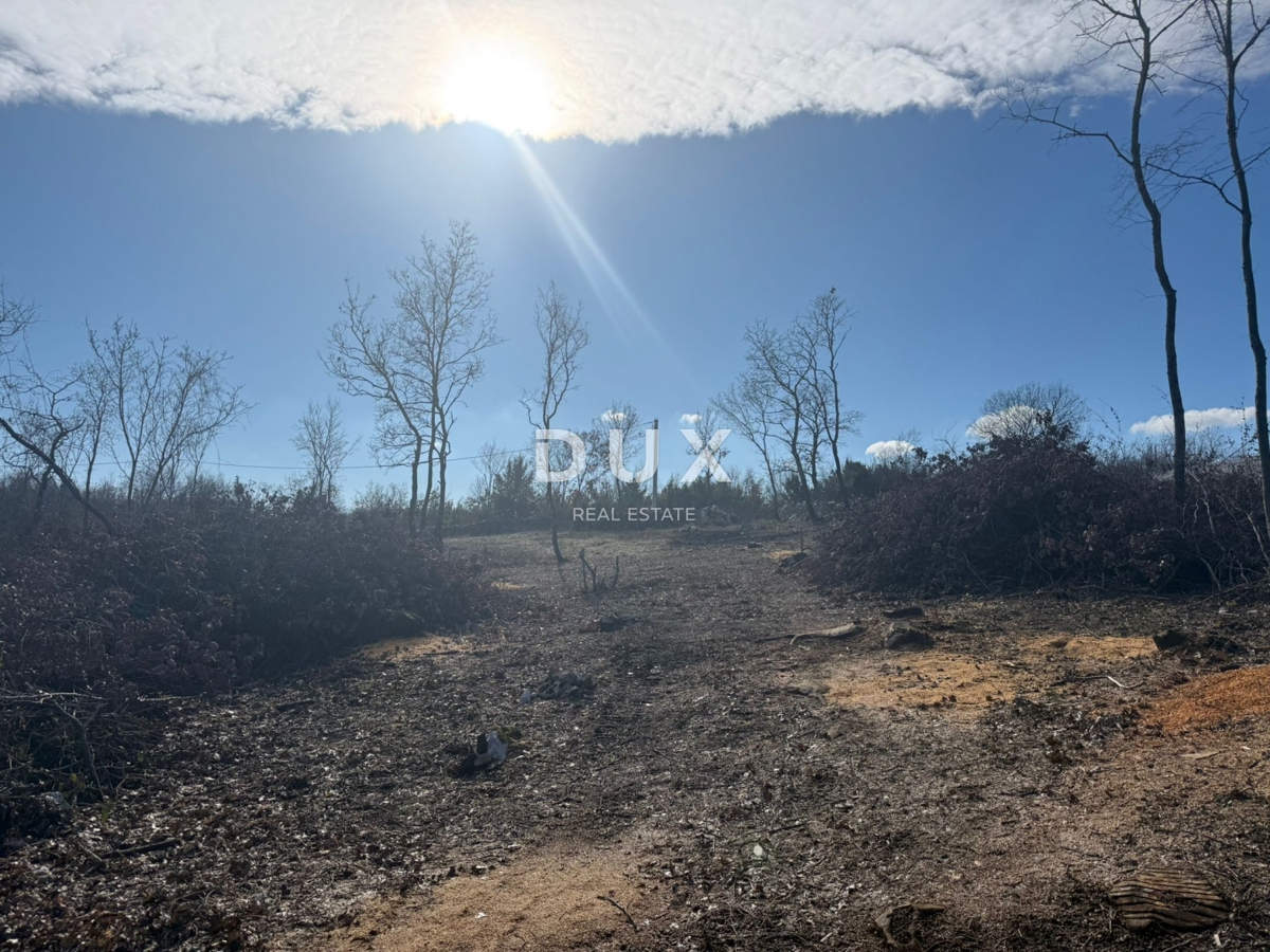 ISTRIA, BARBAN - Ampio terreno immerso nella natura