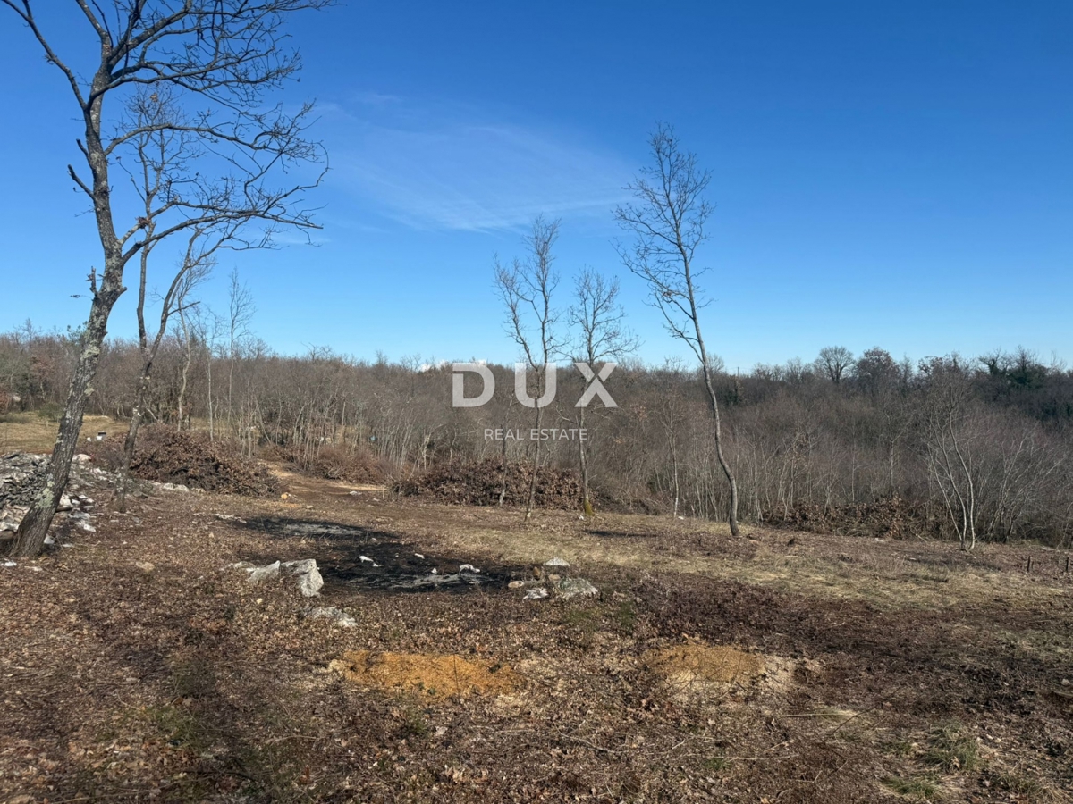 ISTRIA, BARBAN - Ampio terreno immerso nella natura