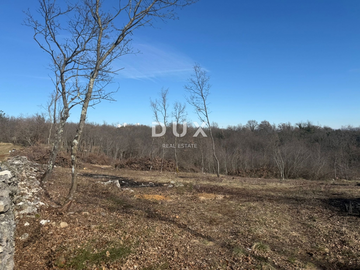 ISTRIA, BARBAN - Ampio terreno immerso nella natura